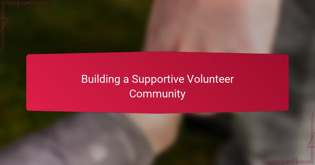 Building a Supportive Volunteer Community