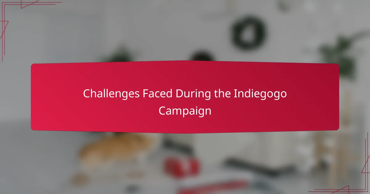 Challenges Faced During the Indiegogo Campaign