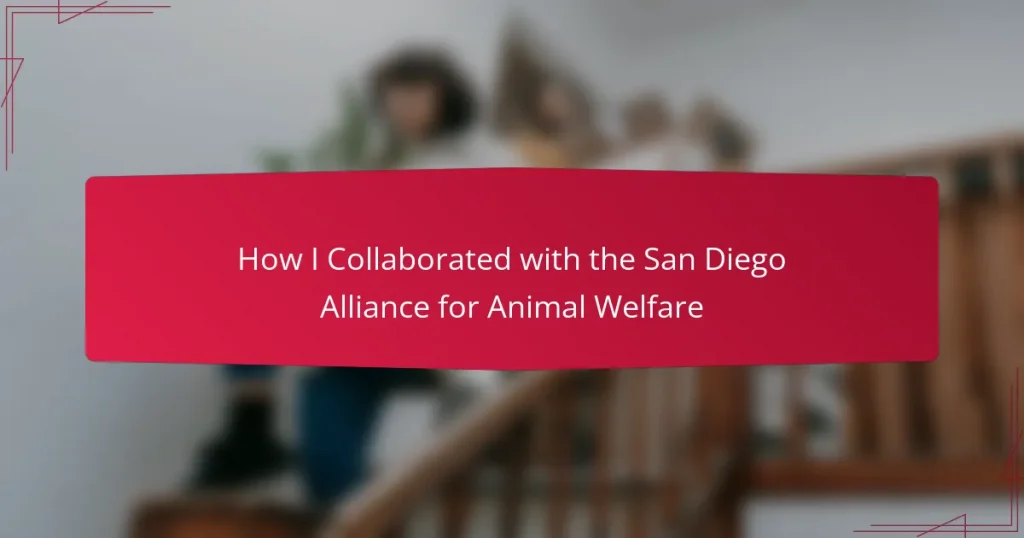 How I Collaborated with the San Diego Alliance for Animal Welfare