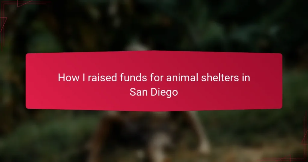 How I raised funds for animal shelters in San Diego