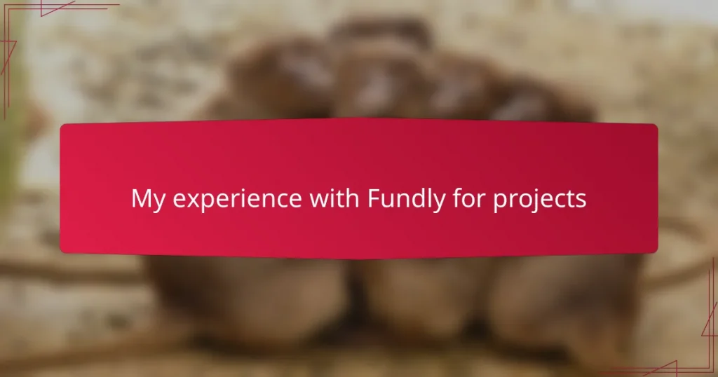 My experience with Fundly for projects