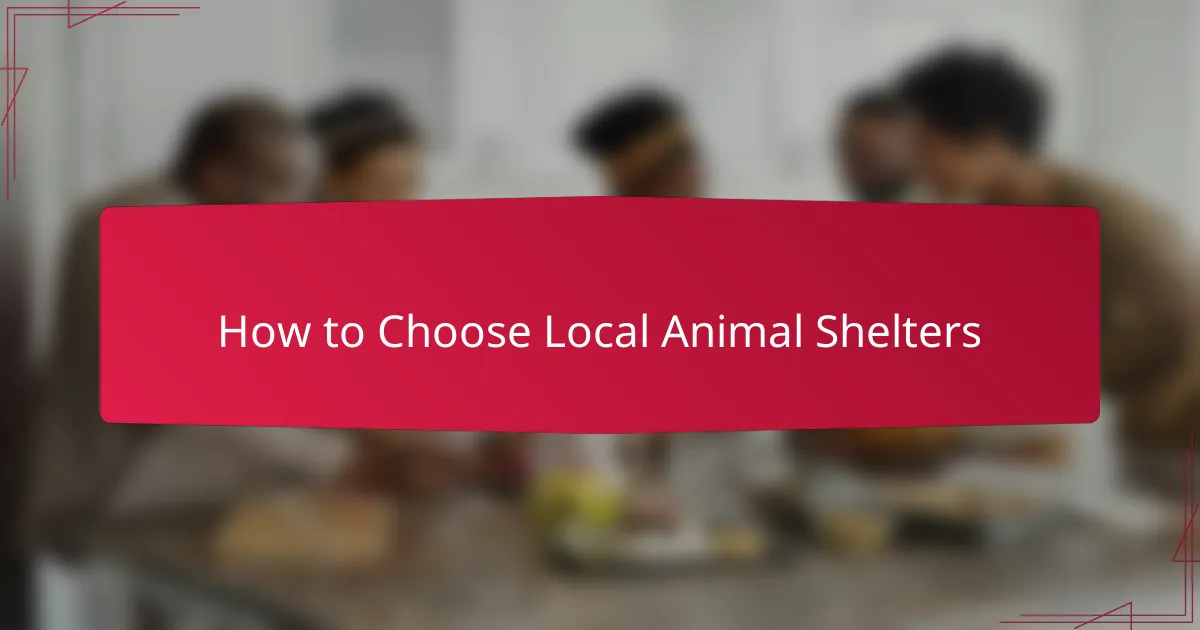 How to Choose Local Animal Shelters