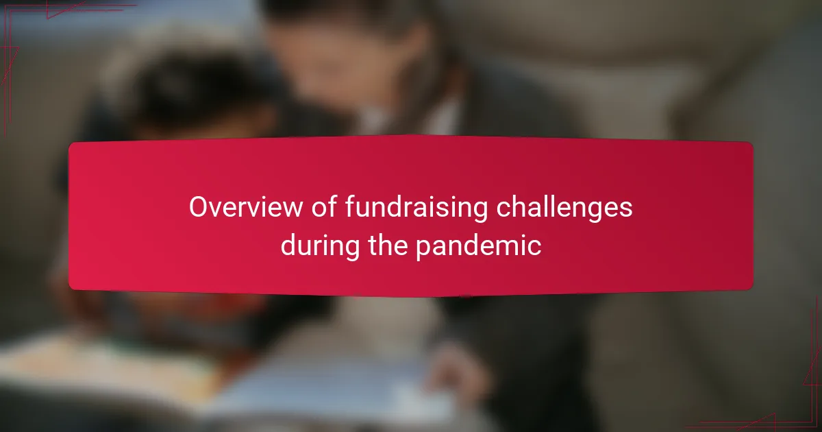 Overview of fundraising challenges during the pandemic