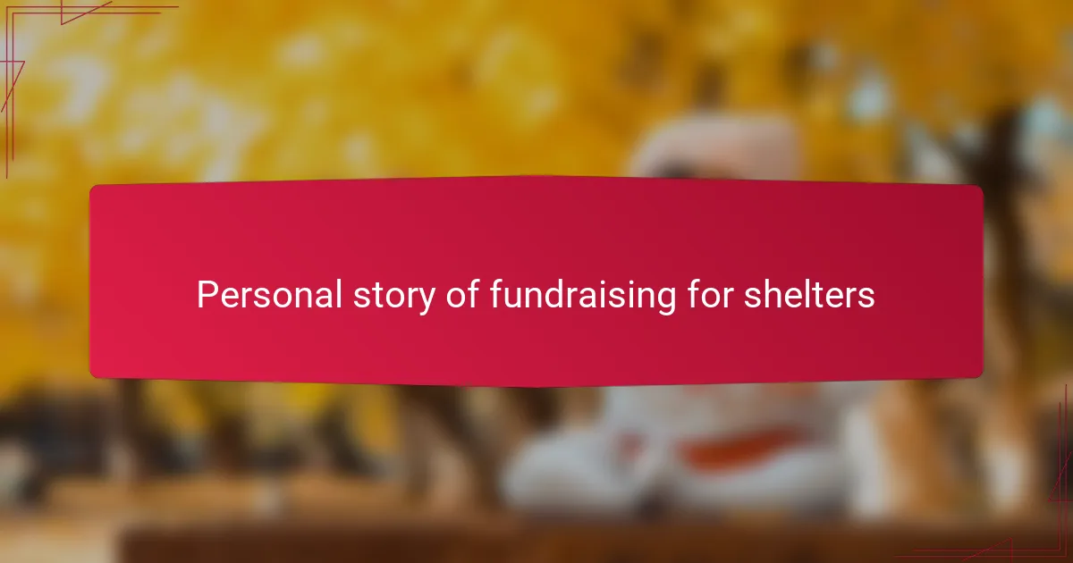 Personal story of fundraising for shelters
